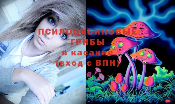 метадон Вяземский