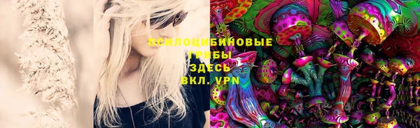 дмт Вязьма