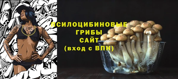 дмт Вязьма