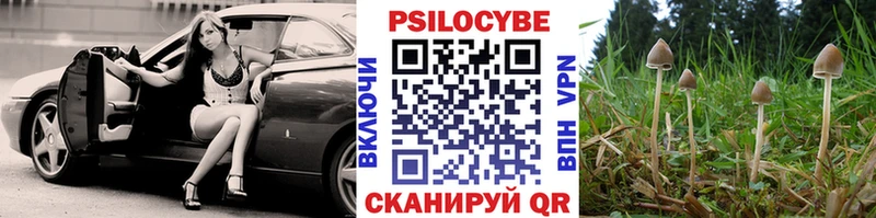 Галлюциногенные грибы MAGIC MUSHROOMS  Задонск 